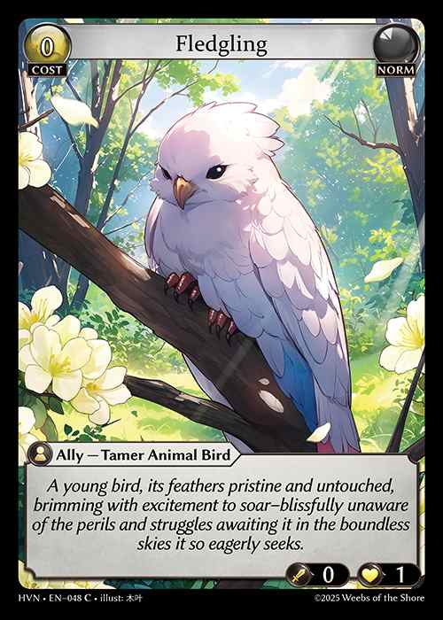[Norm] Fledgling [HVN048-C]
