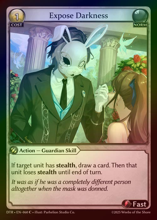 【FOIL】[Norm] Expose Darkness [DTR060-C]